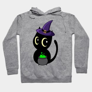 Cute Black cat is a witch Hoodie